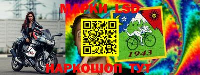 Альфа ПВП Рузаевка