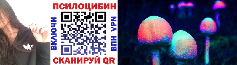 магазин продажи   Ставрополь  Галлюциногенные грибы мицелий 