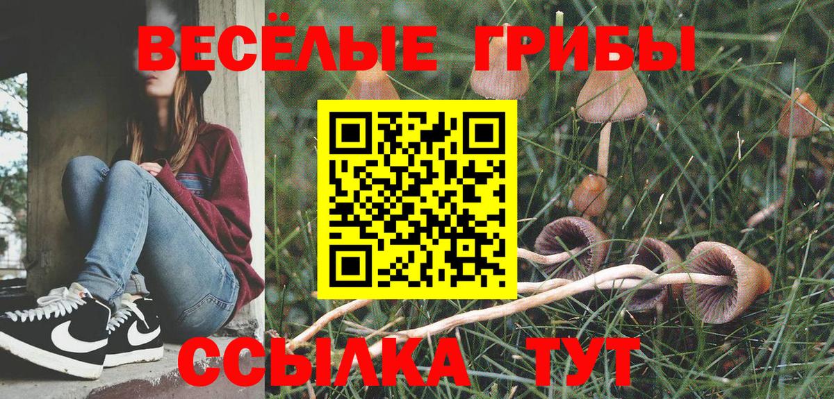 Псилоцибиновые грибы Cubensis  Вход с VPN  Ставрополь 