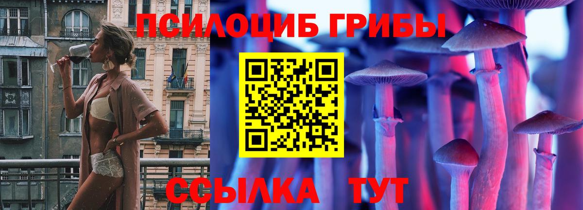 Галлюциногенные грибы GOLDEN TEACHER Ставрополь